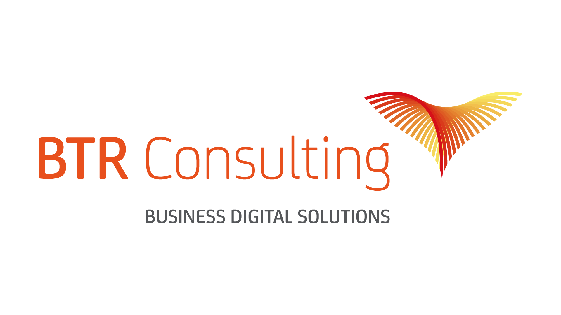 Logo-BTR consulting